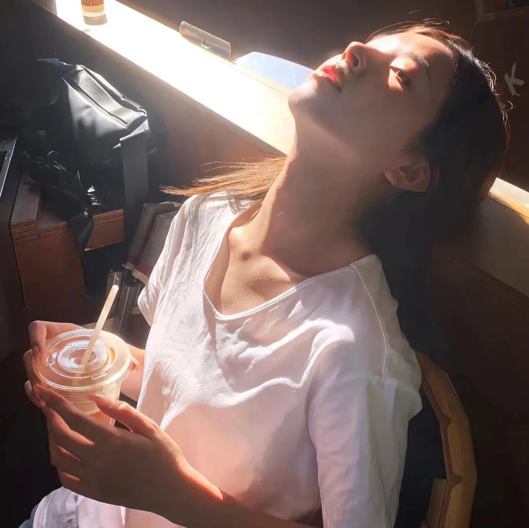 欧栗树 封面